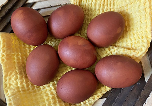 Яйца Окрашенные Луковой Шелухой